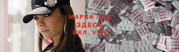 шишки Горно-Алтайск