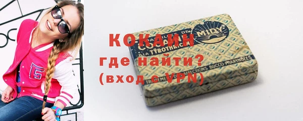 шишки Горно-Алтайск