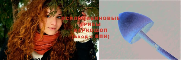 шишки Горно-Алтайск