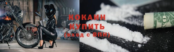 шишки Горно-Алтайск