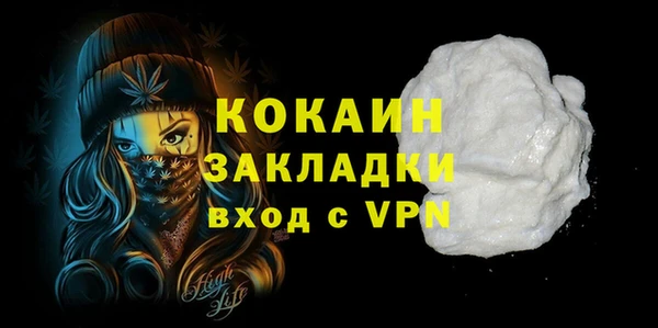 шишки Горно-Алтайск