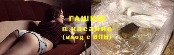 шишки Горно-Алтайск