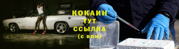 шишки Горно-Алтайск