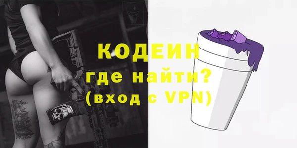 шишки Горно-Алтайск