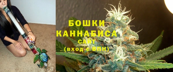тгк Горняк