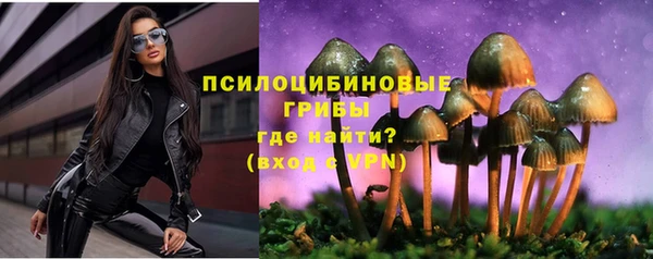 шишки Горно-Алтайск