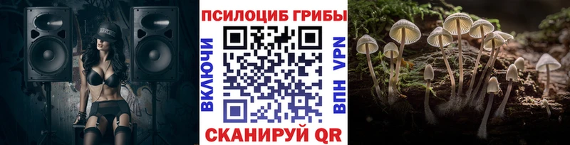 Купить закладки  Новоуральск  Галлюциногенные грибы Psilocybine cubensis 